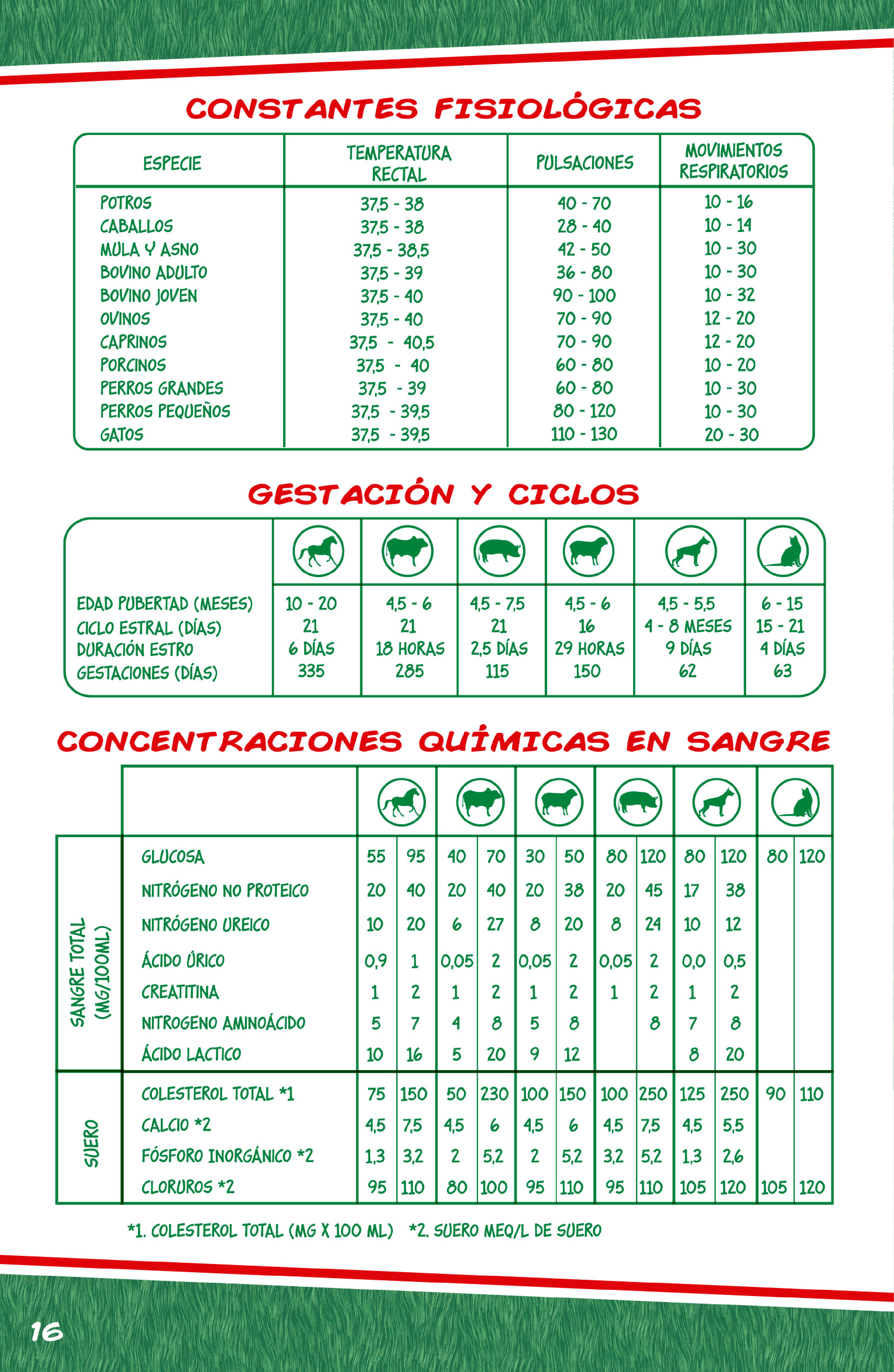 Página 18