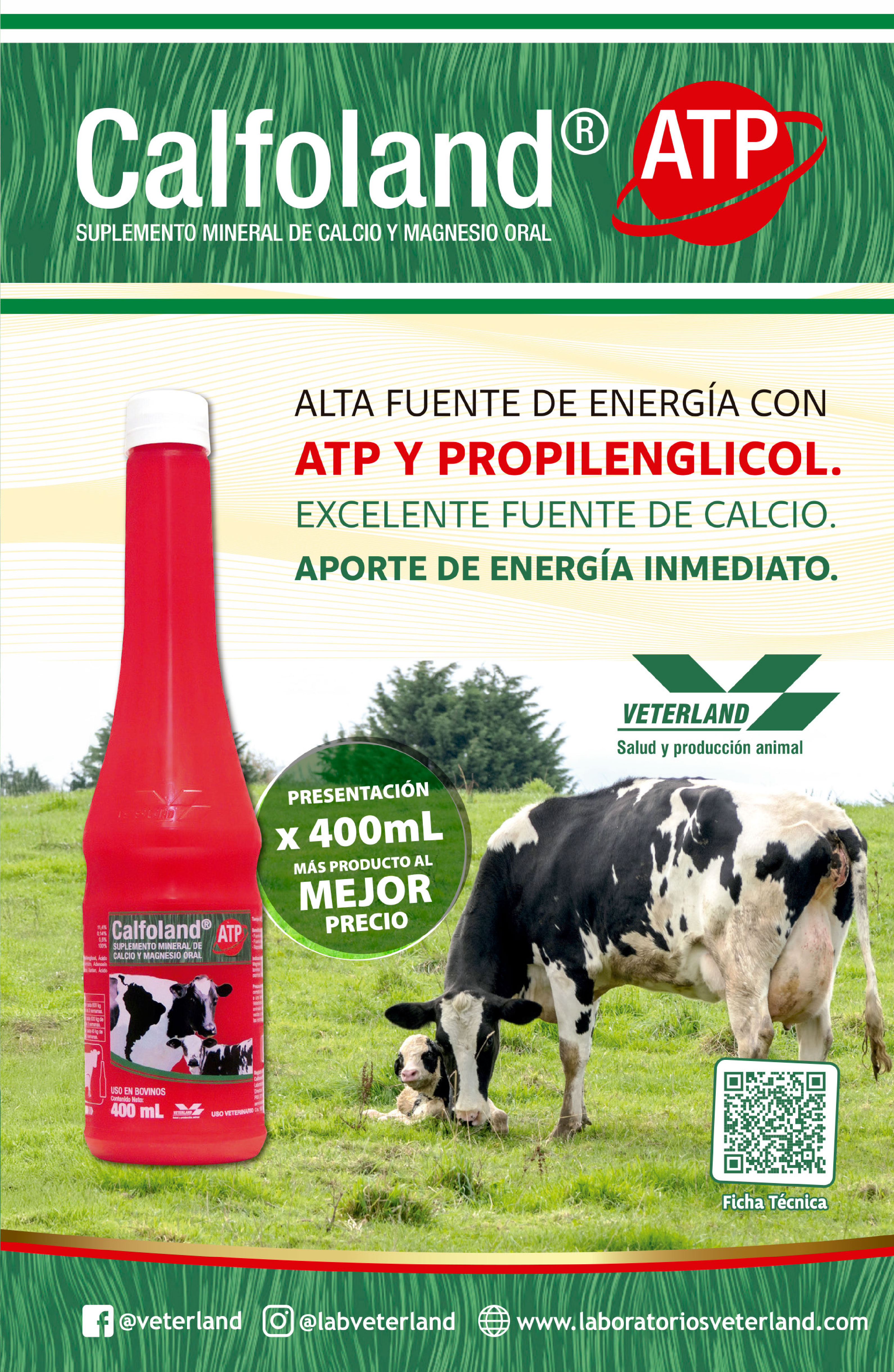 Página 19